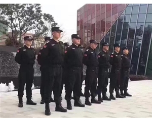 高端人力护卫